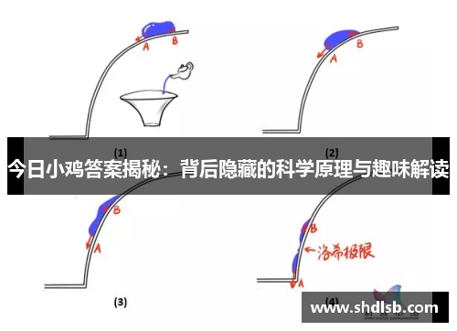 今日小鸡答案揭秘：背后隐藏的科学原理与趣味解读